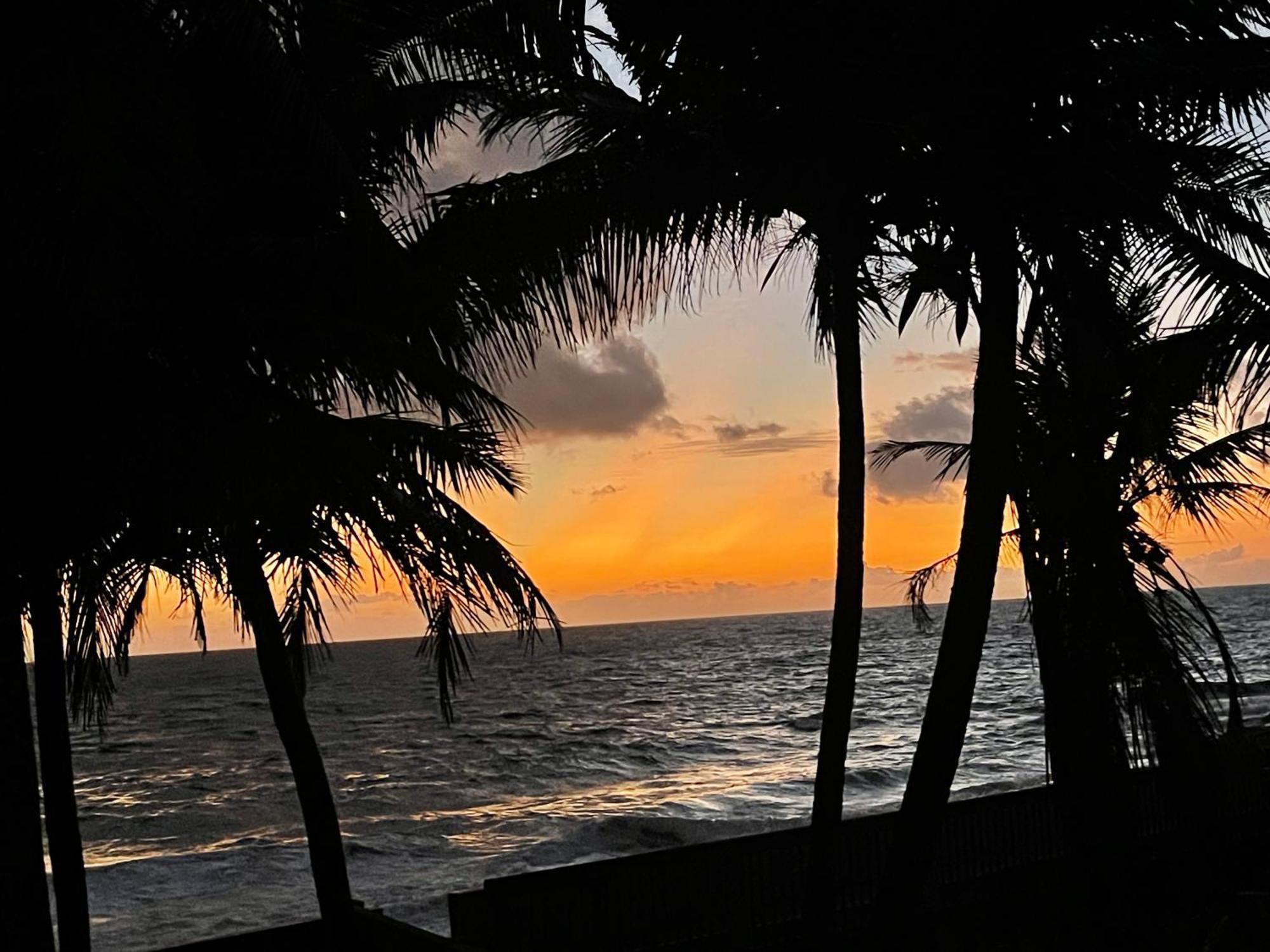 Blue Maalu Resort アンバランゴダ エクステリア 写真