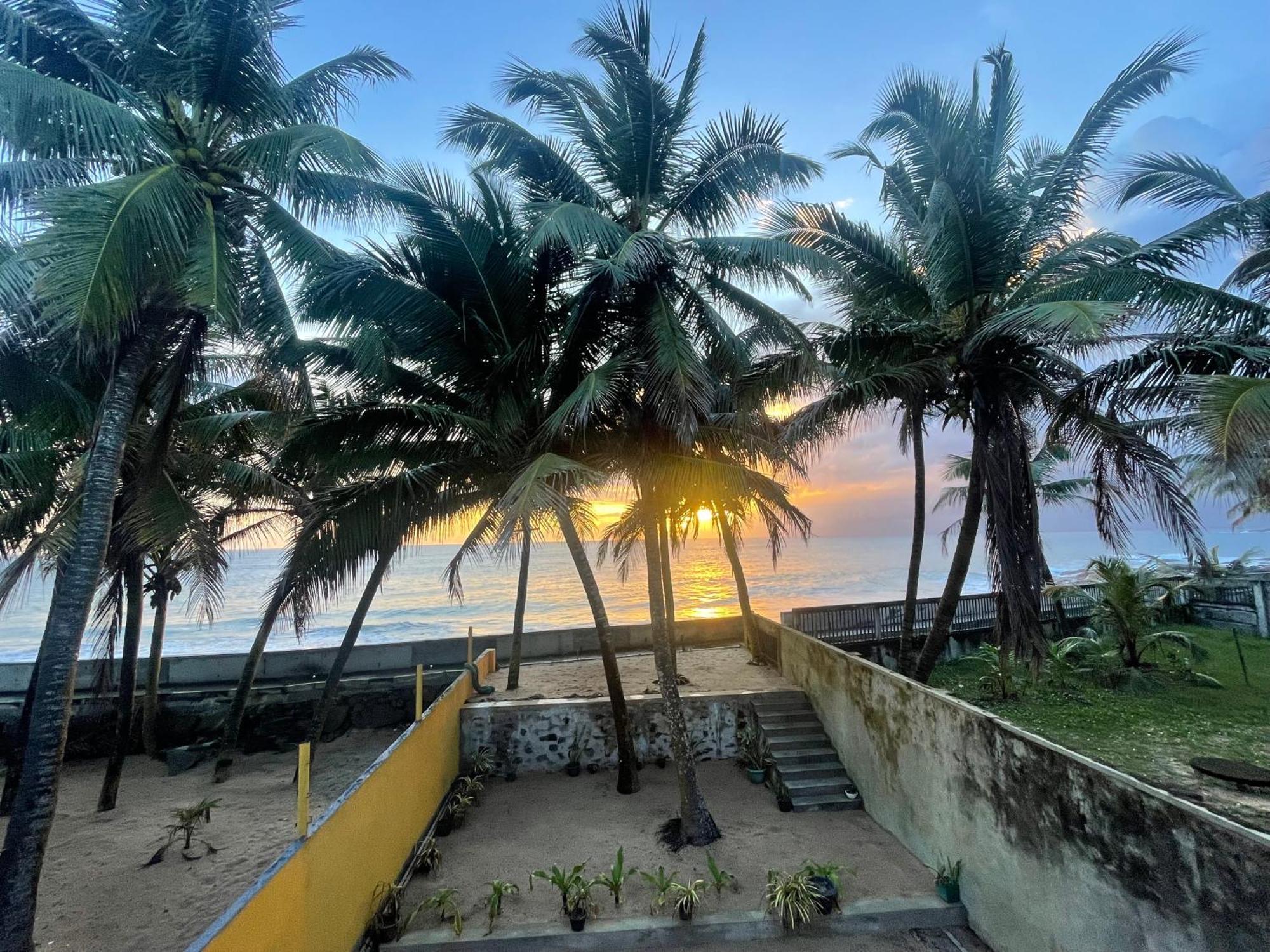 Blue Maalu Resort アンバランゴダ エクステリア 写真