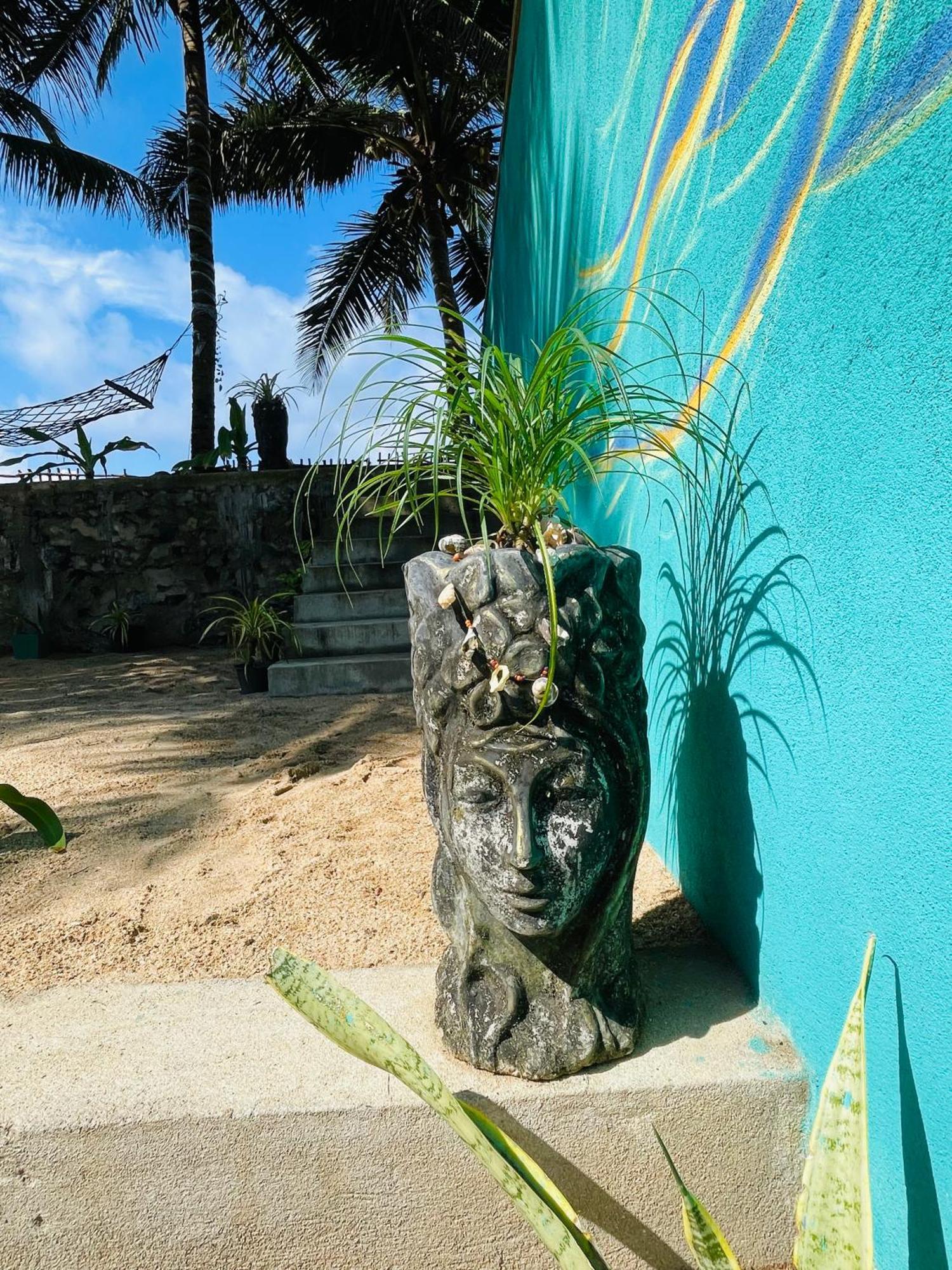 Blue Maalu Resort アンバランゴダ エクステリア 写真